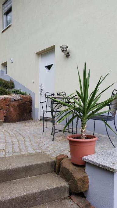 Ferienwohnung Talblick Im Schwarzwald Seelbach  Exteriör bild