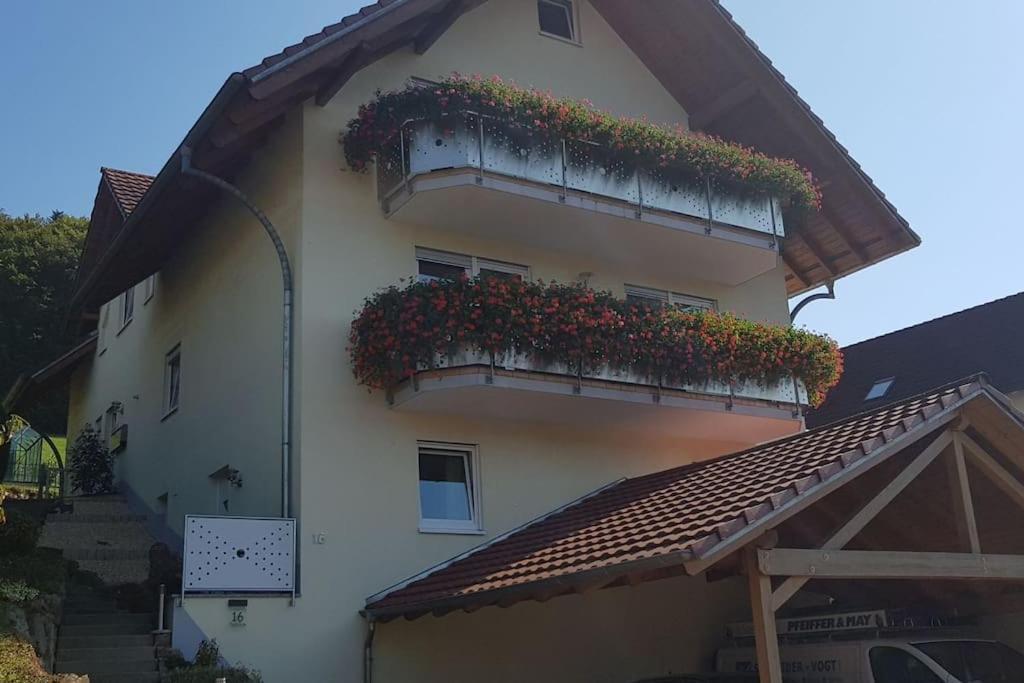 Ferienwohnung Talblick Im Schwarzwald Seelbach  Exteriör bild