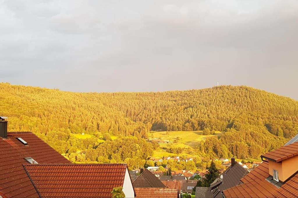 Ferienwohnung Talblick Im Schwarzwald Seelbach  Exteriör bild
