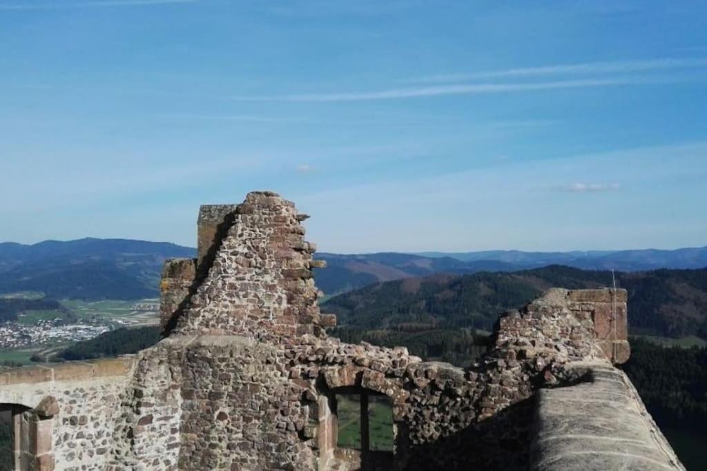 Ferienwohnung Talblick Im Schwarzwald Seelbach  Exteriör bild