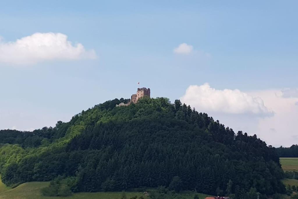 Ferienwohnung Talblick Im Schwarzwald Seelbach  Exteriör bild