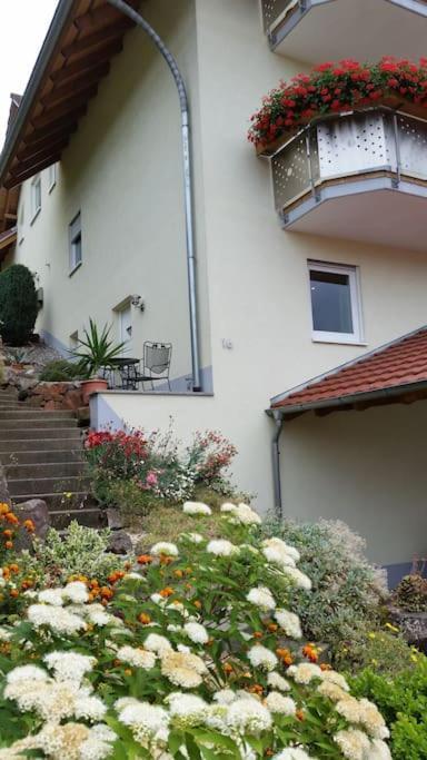 Ferienwohnung Talblick Im Schwarzwald Seelbach  Exteriör bild
