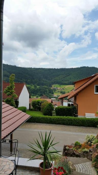 Ferienwohnung Talblick Im Schwarzwald Seelbach  Exteriör bild
