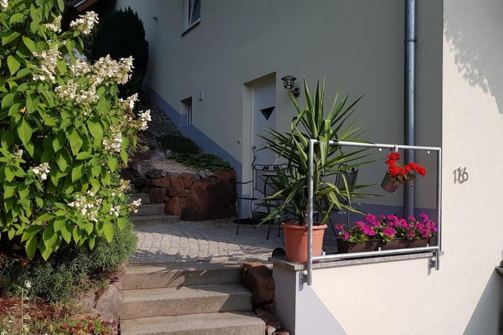 Ferienwohnung Talblick Im Schwarzwald Seelbach  Exteriör bild